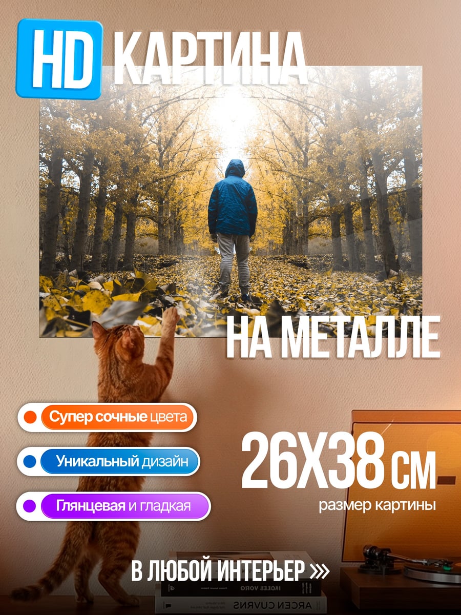 Картина на металле Человек в осеннем лесу