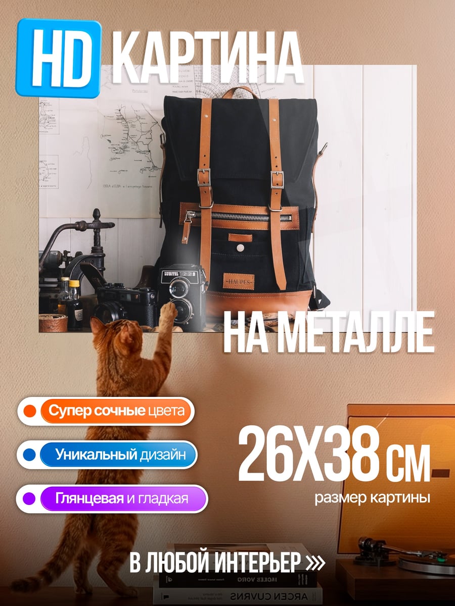 Картина на металле Рюкзак и фотокамера