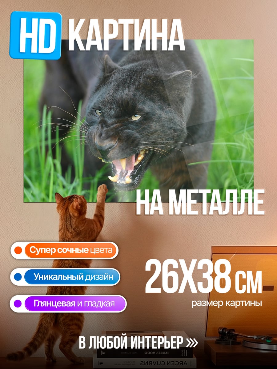 Картина на металле Черная пантера