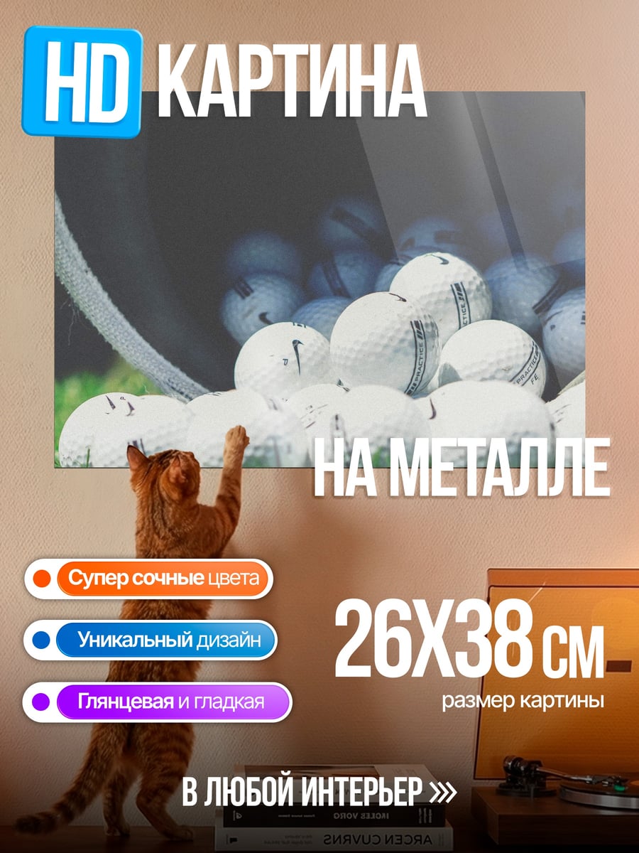 Картина на металле Корзина с мячами для гольфа