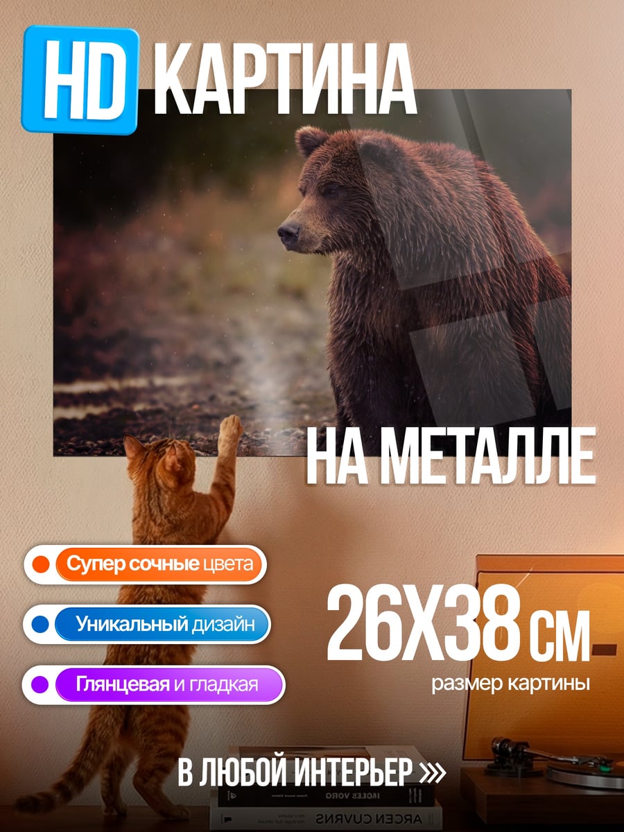 Картина на металле Бурый медведь сидит