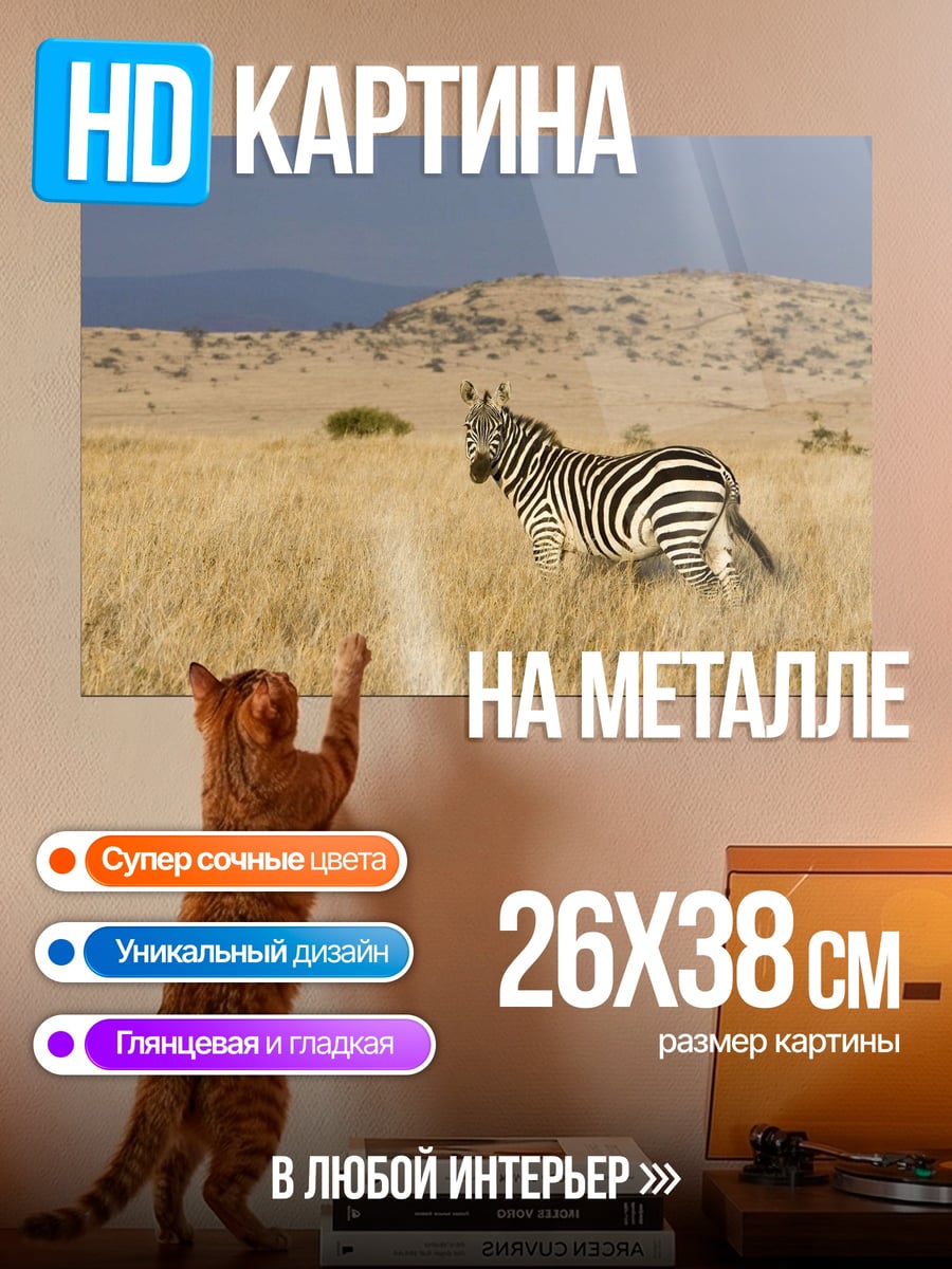 Картина на металле Зебра в саванне