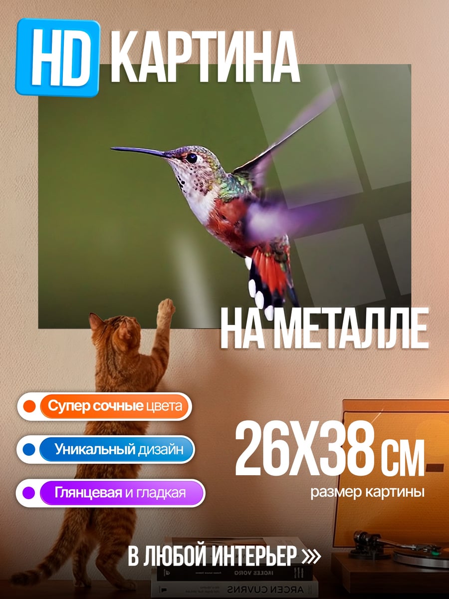 Картина на металле Колибри в полете