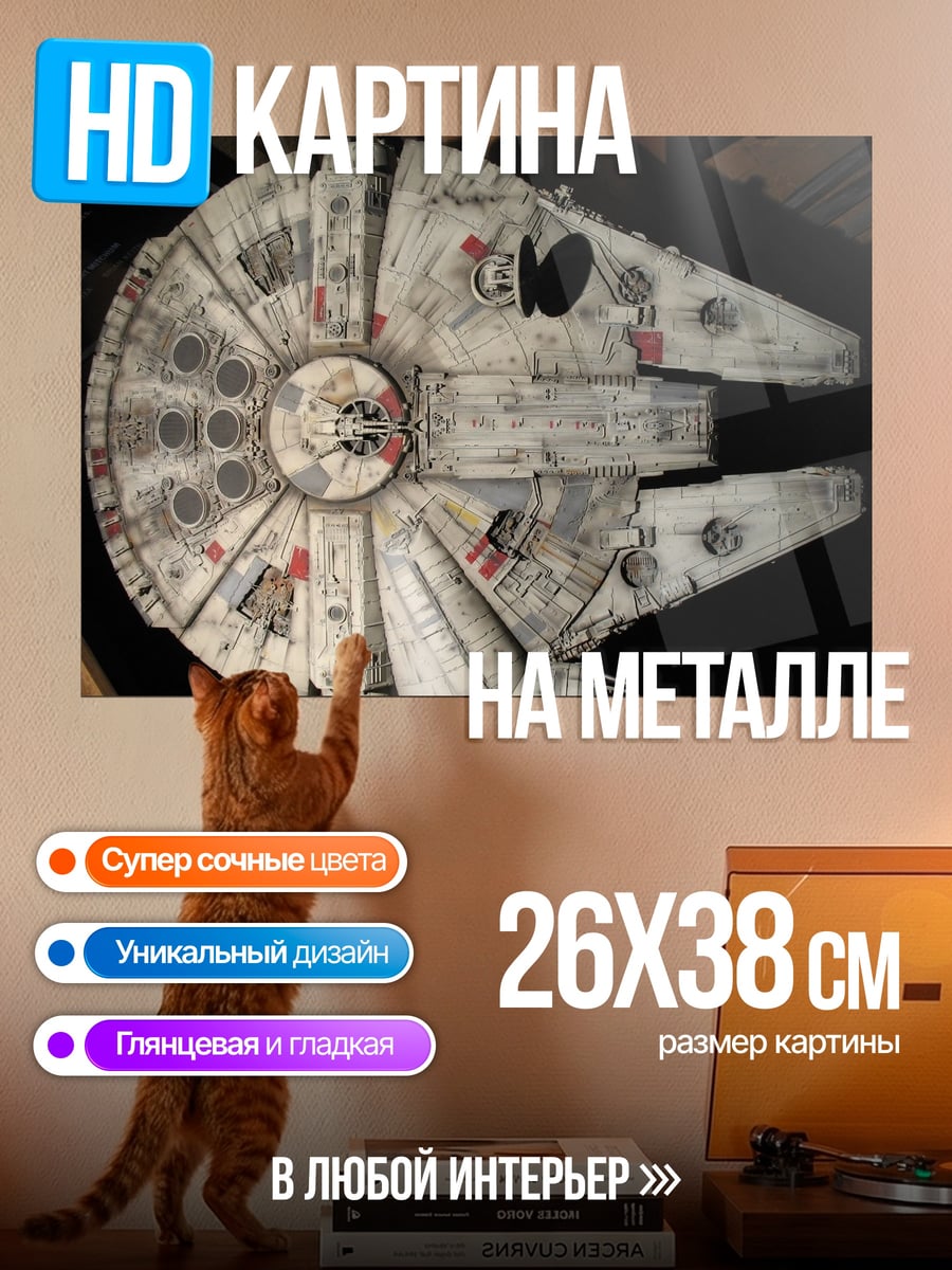Картина на металле Сокол Тысячелетия