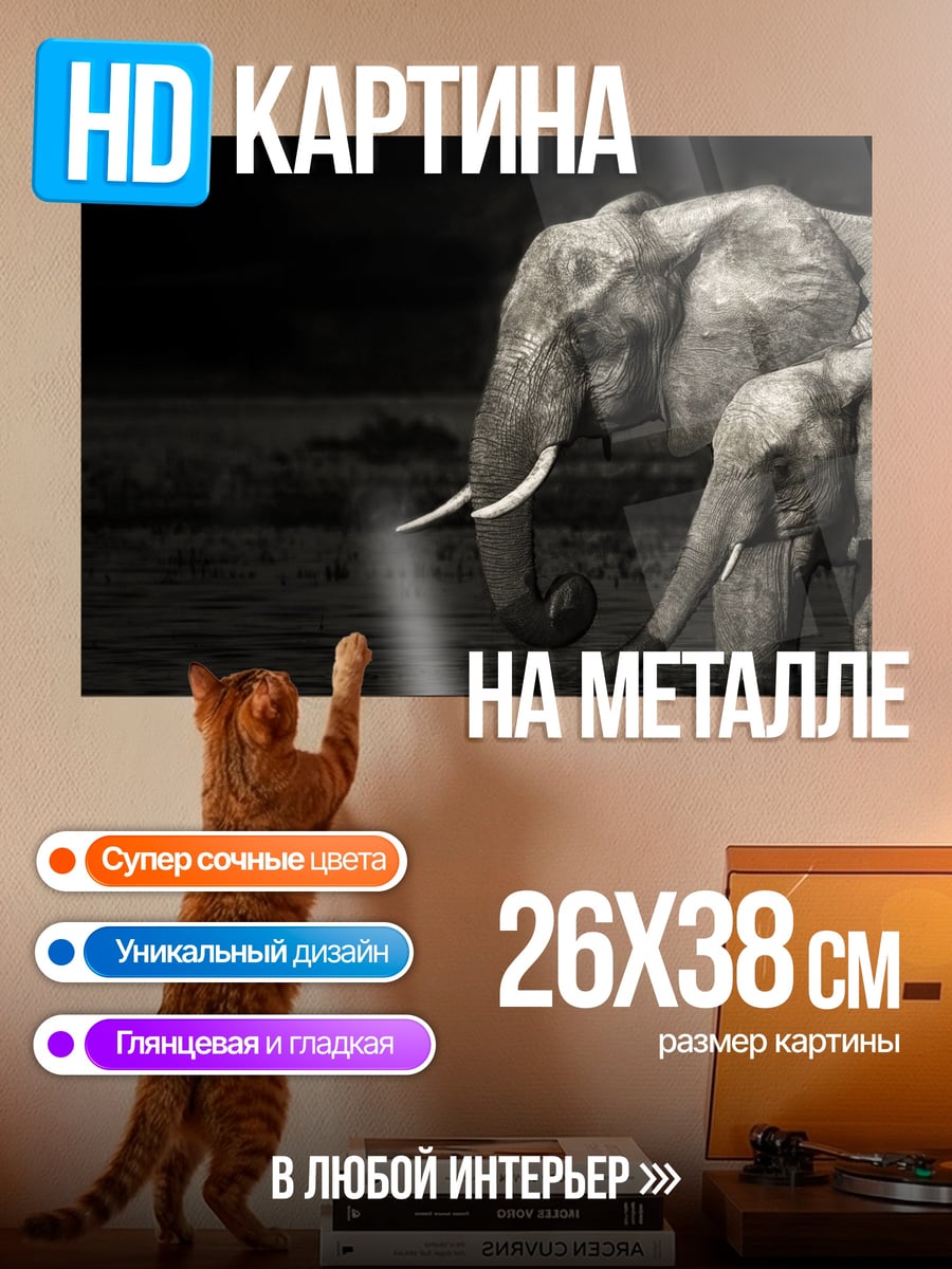 Картина на металле слоны в ночи