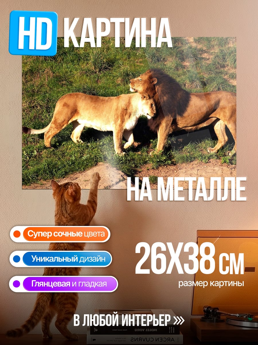 Картина на металле Пара львов в траве