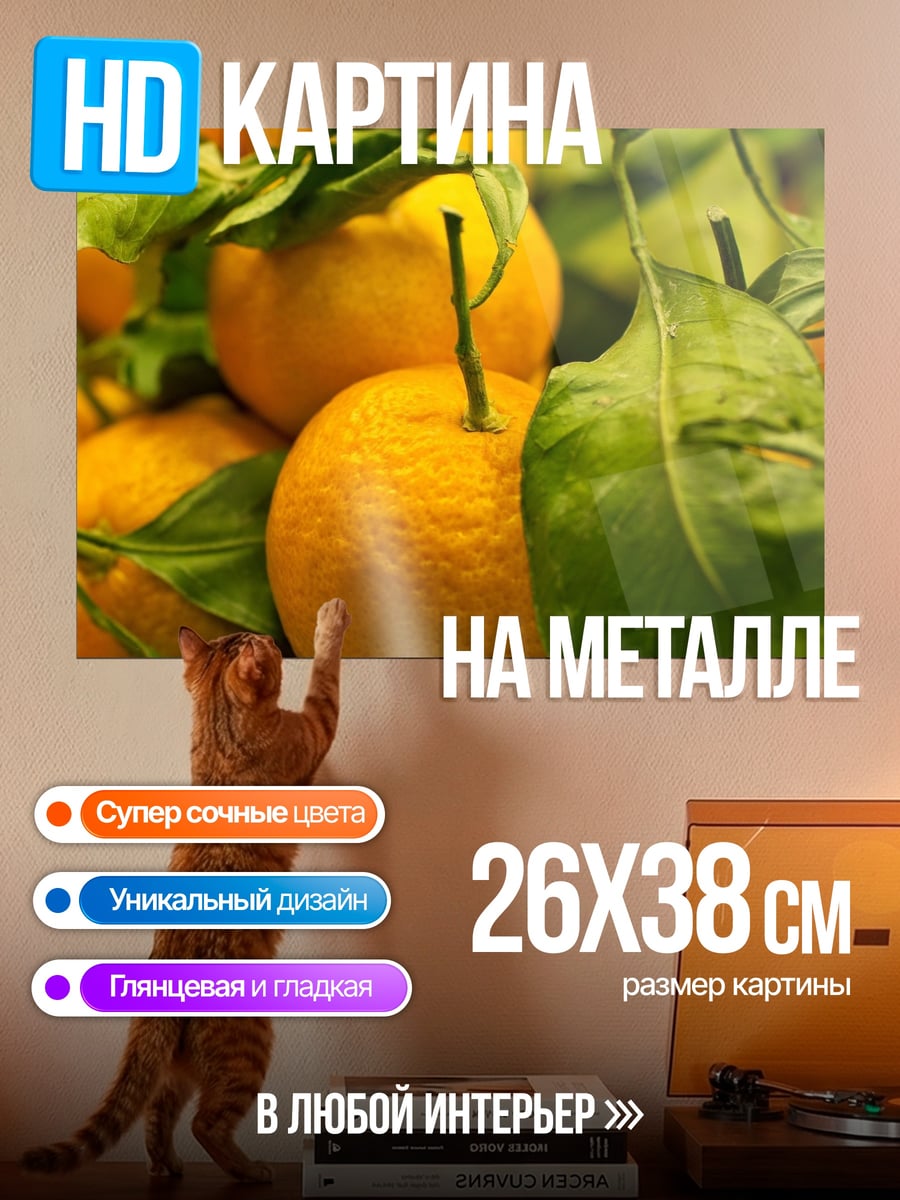 Картина на металле Сочные апельсины