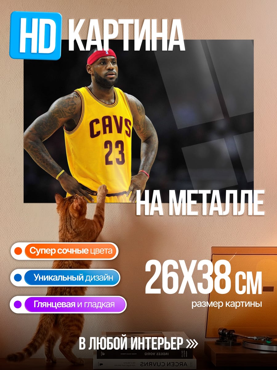 Картина на металле Леброн Джеймс 23