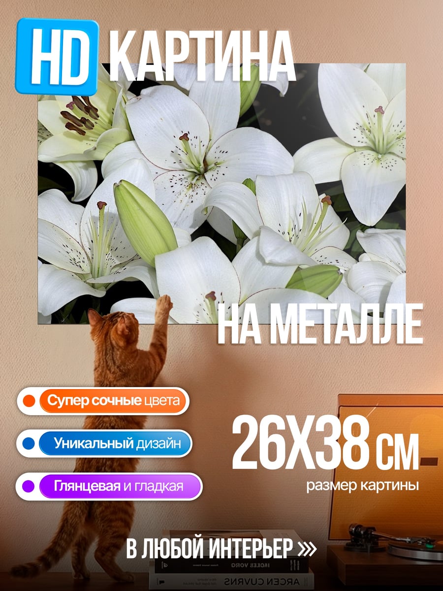 Картина на металле Белые лилии