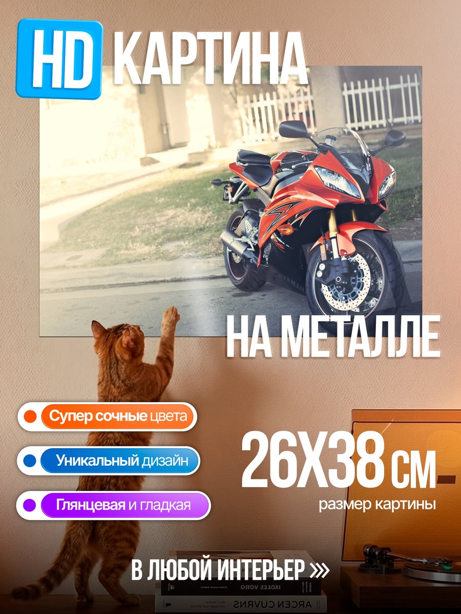 Картина на металле Красный спортбайк