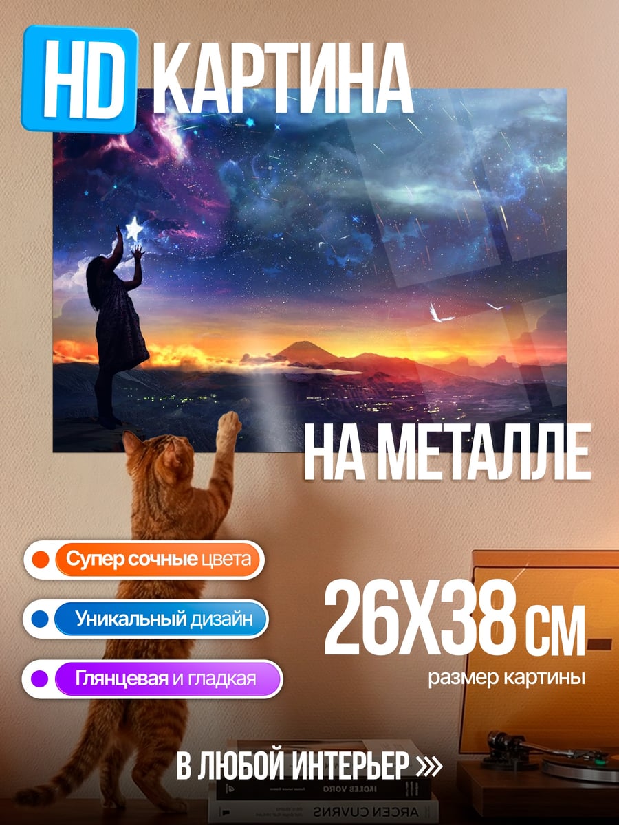Картина на металле Девушка смотрит на звезды