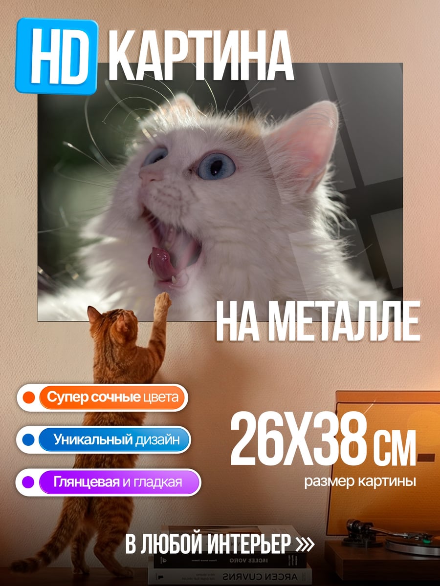 Картина на металле Кричащий белый кот