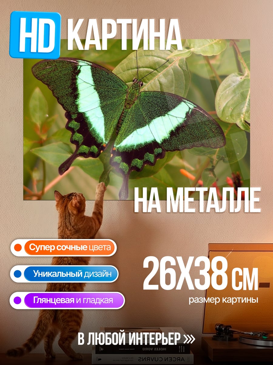 Картина на металле Зеленая бабочка на ветке