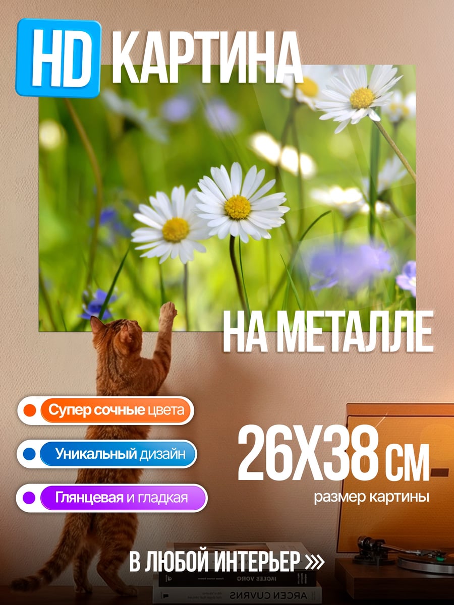 Картина на металле Поле ромашек и васильков