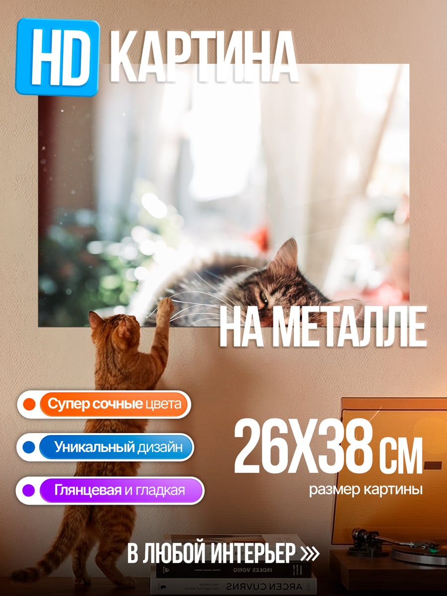 Картина на металле Спящий кот