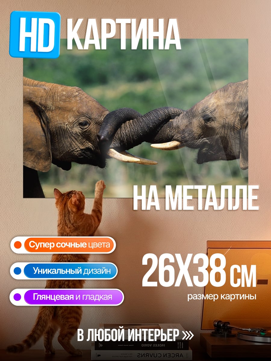 Картина на металле Слон в саванне