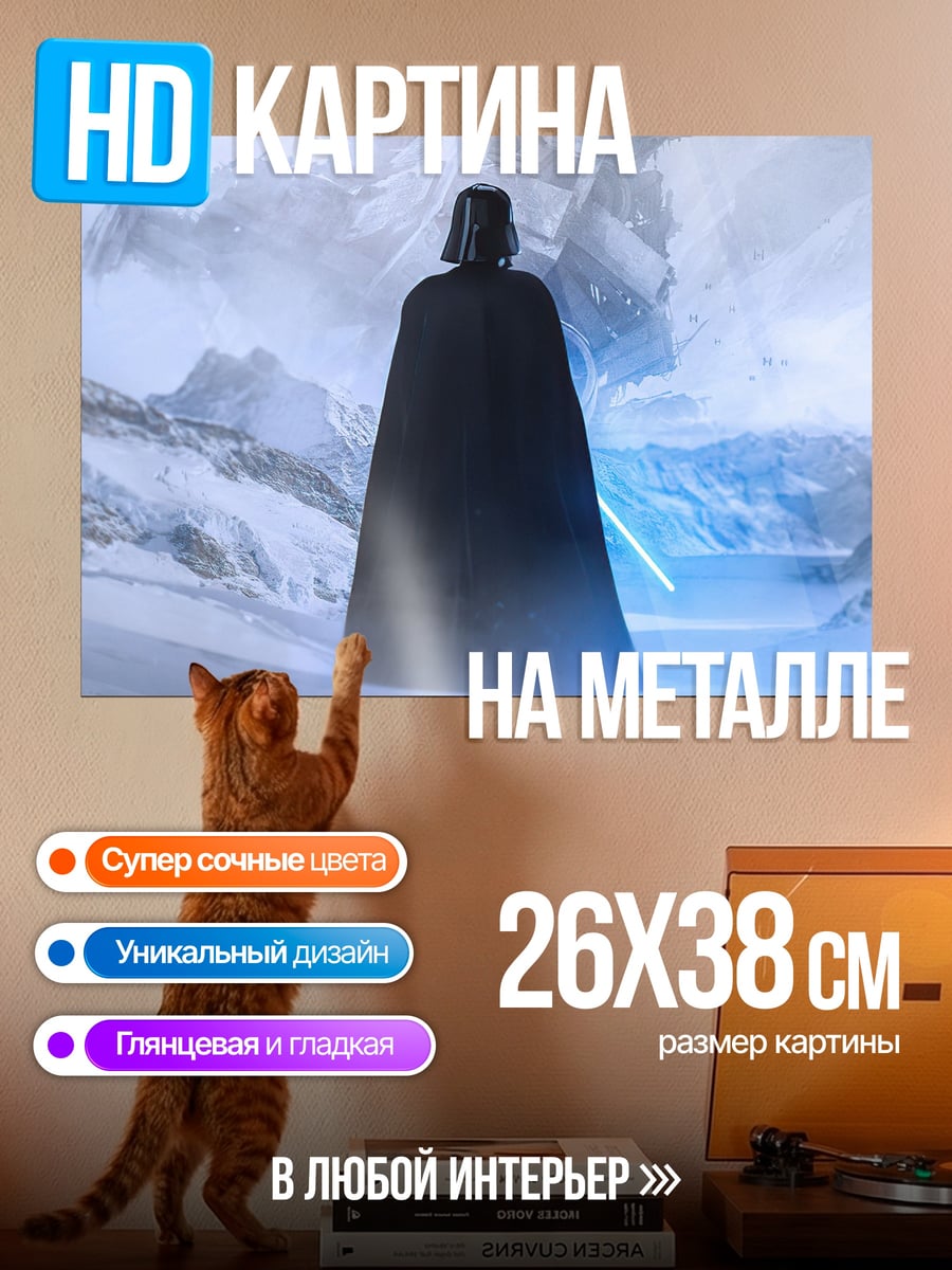 Картина на металле Дарт Вейдер зима