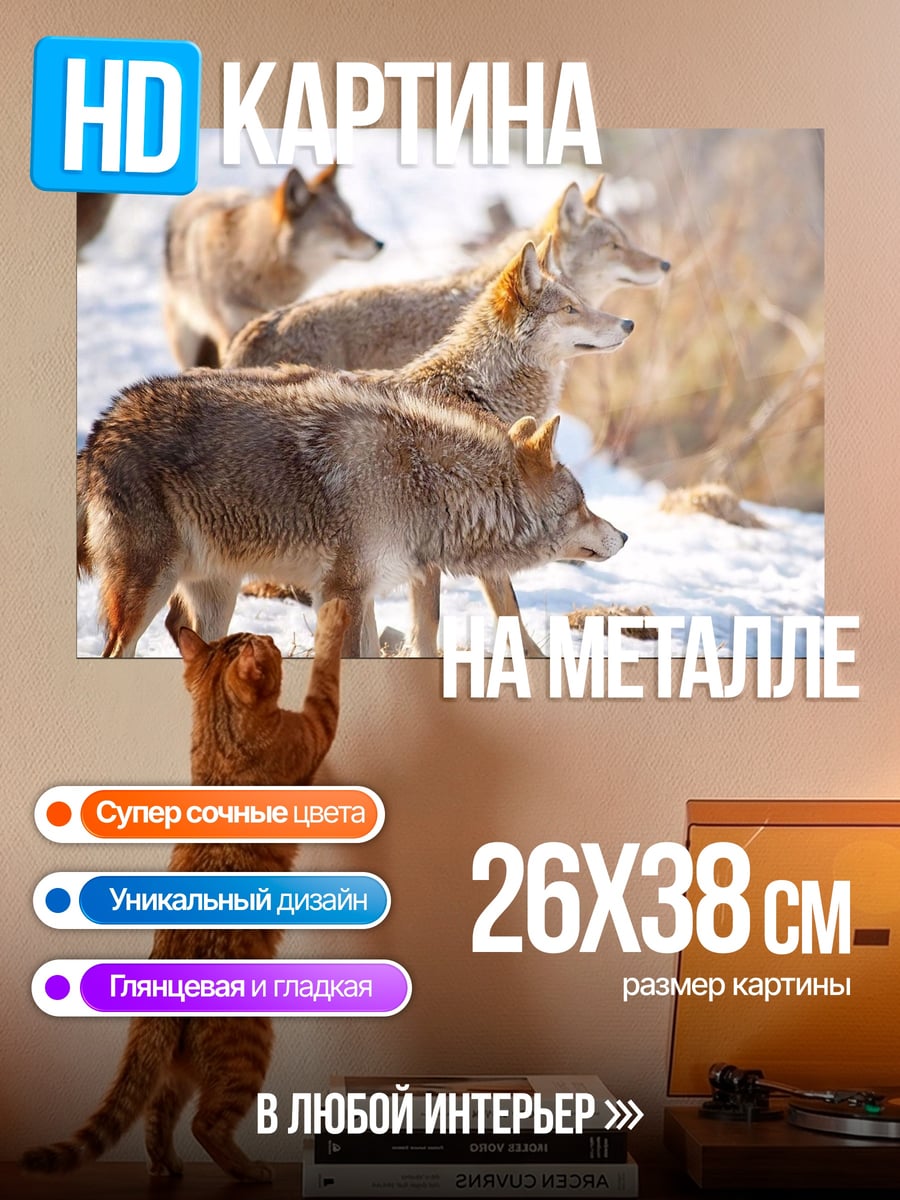 Картина на металле Стая койотов