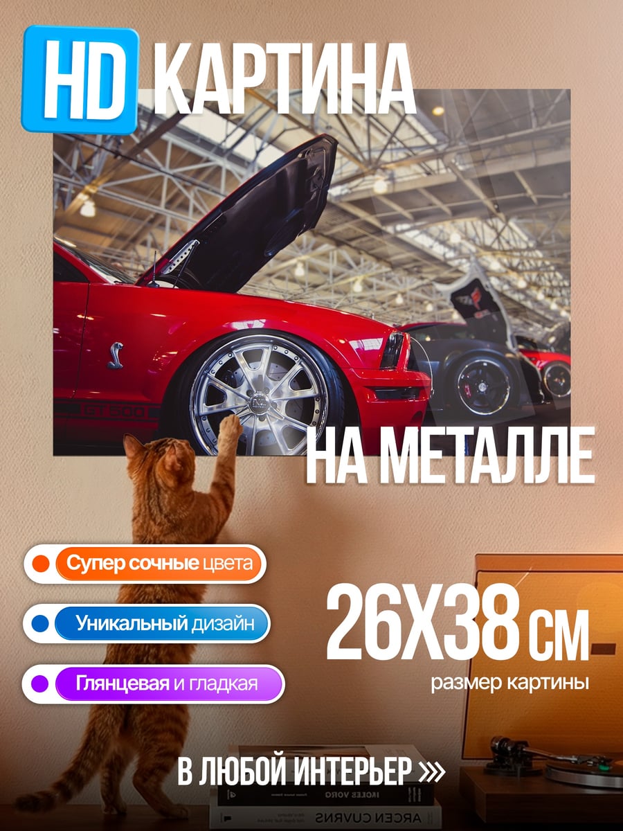 Картина на металле красные маслкары