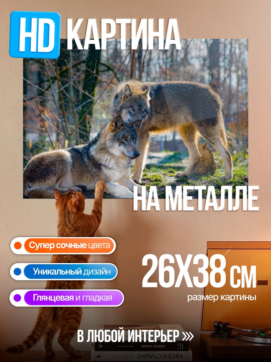 Картина на металле два волка