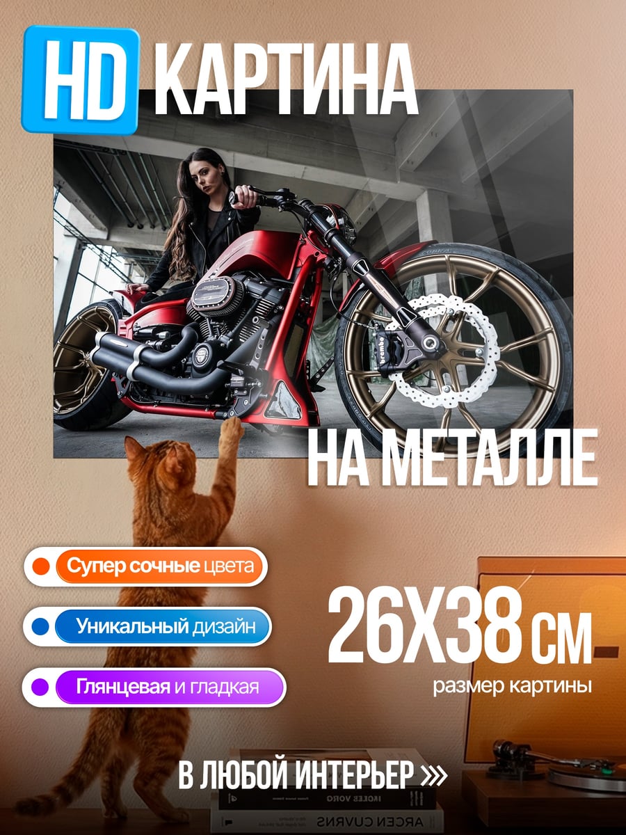 Картина на металле Девушка и мотоцикл