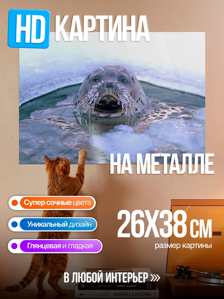 Картина на металле Тюлень выныривает из воды