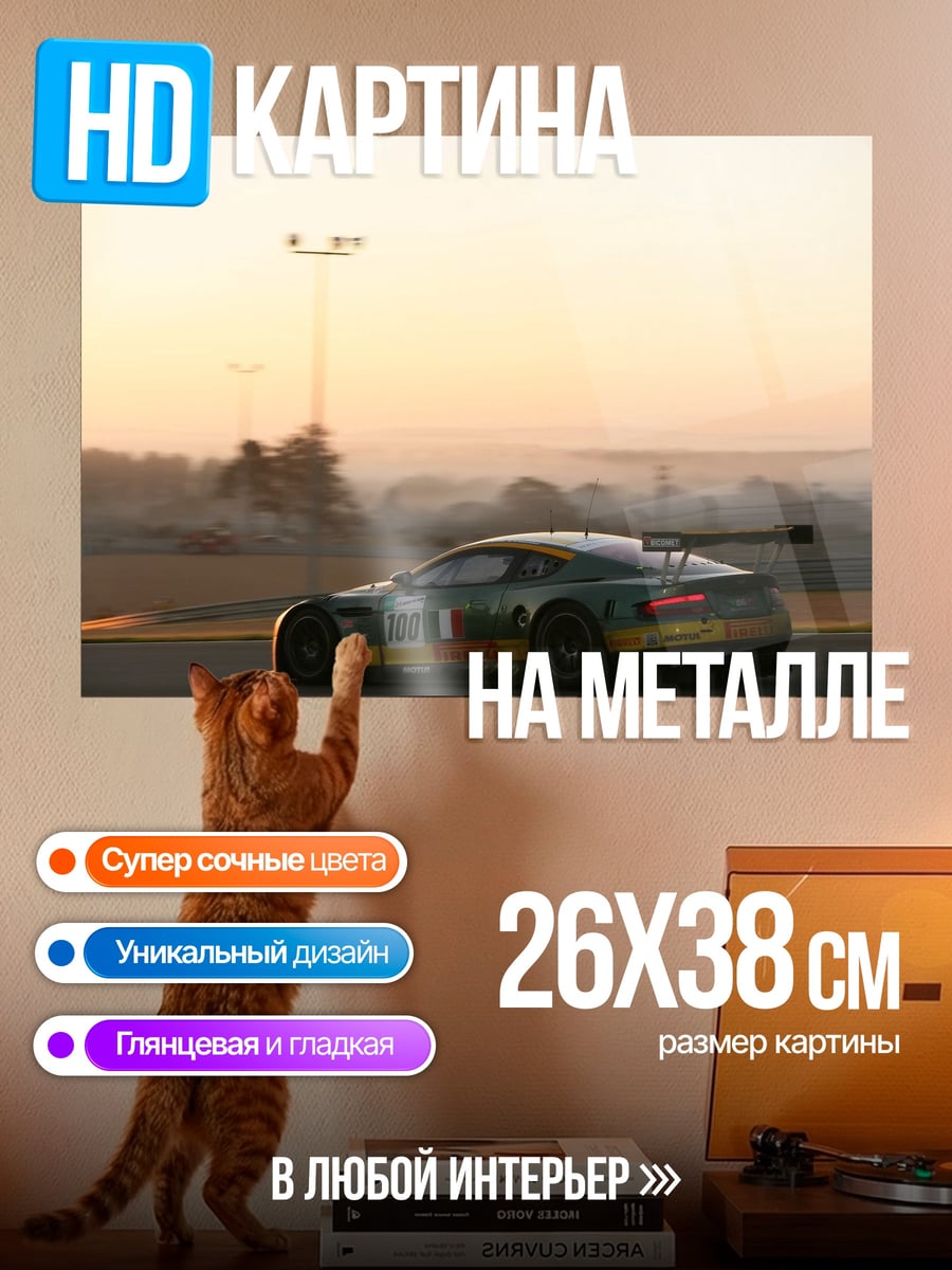 Картина на металле Гоночный автомобиль на закате