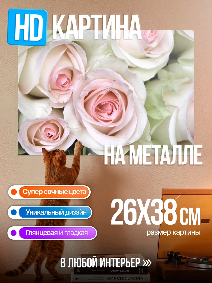 Картина на металле Нежные розы