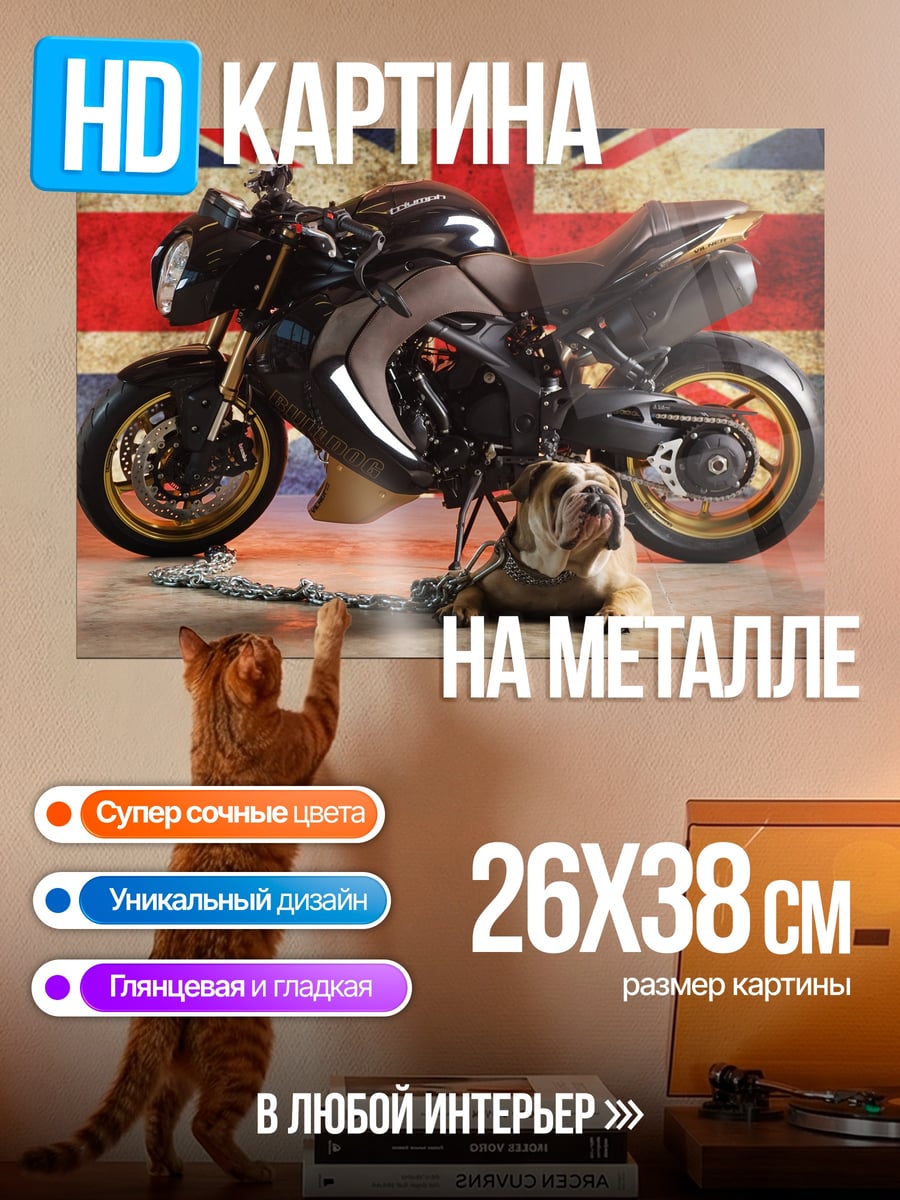 Картина на металле Британский байкер