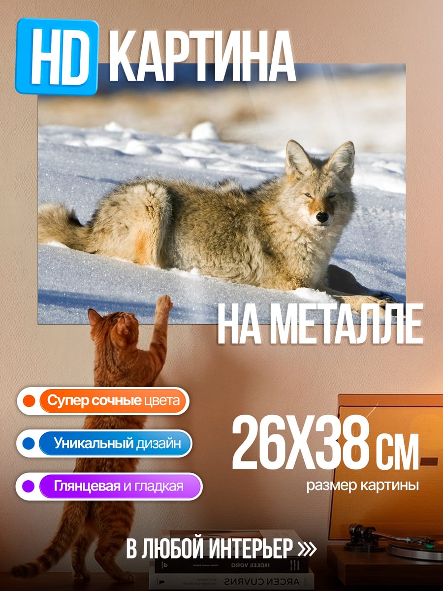 Картина на металле Койот в снегу