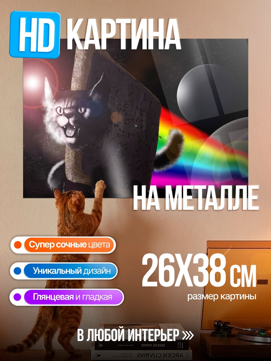 Картина на металле Космокот
