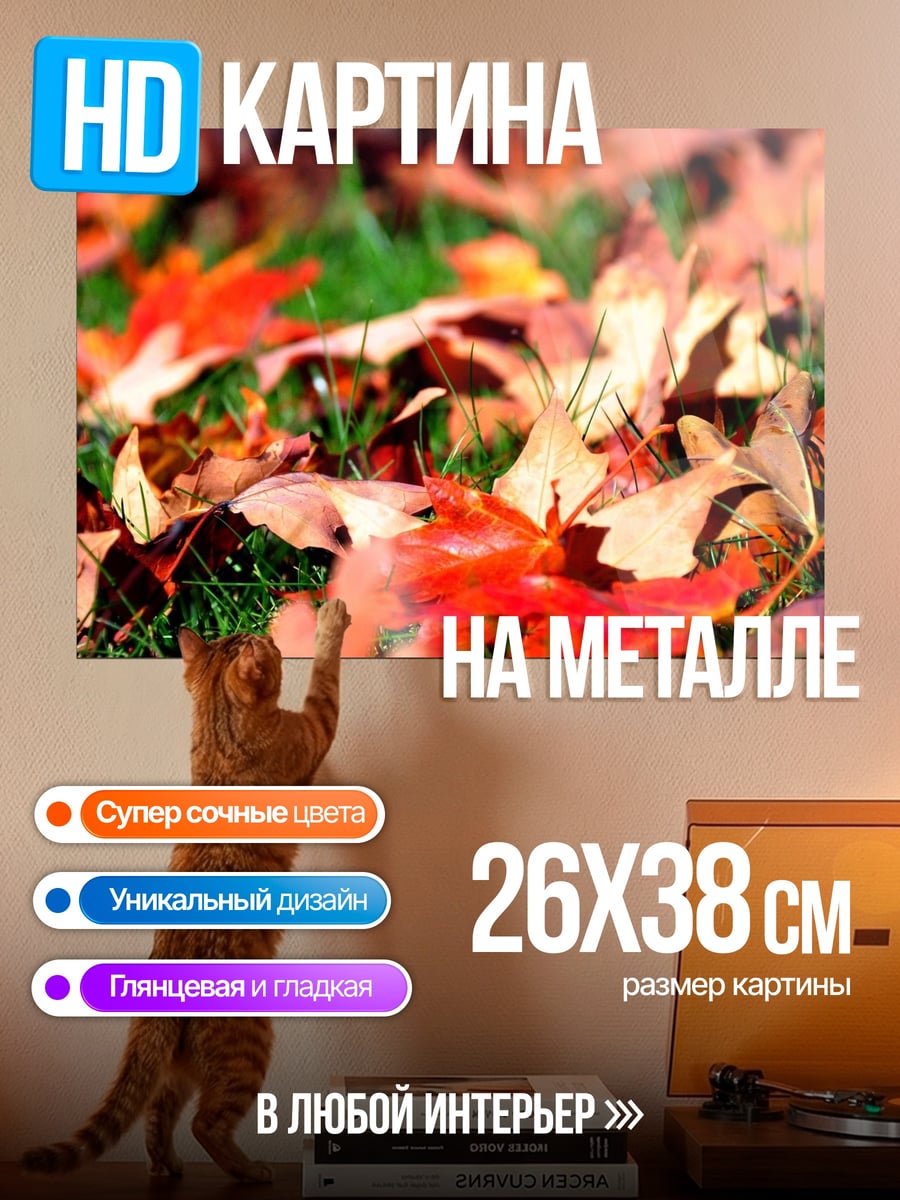 Картина на металле Осенние листья на траве