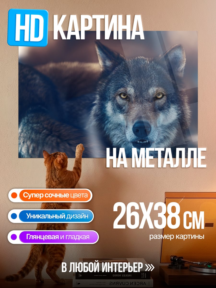 Картина на металле Портрет волка