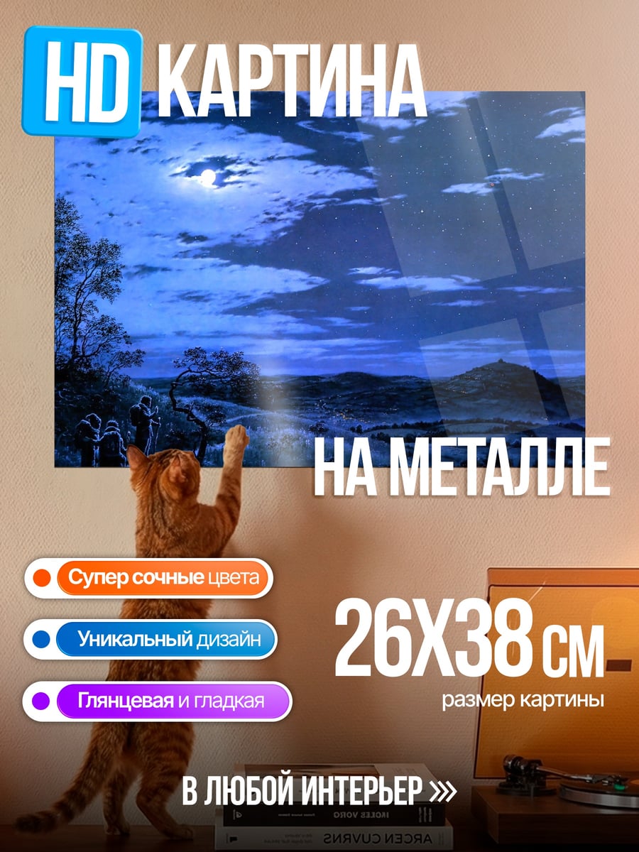 Картина на металле Ночная прогулка