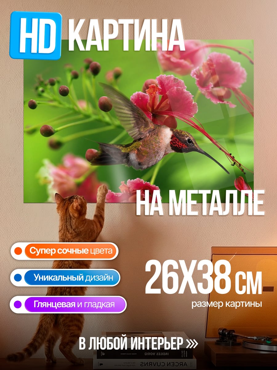 Картина на металле Колибри и цветы