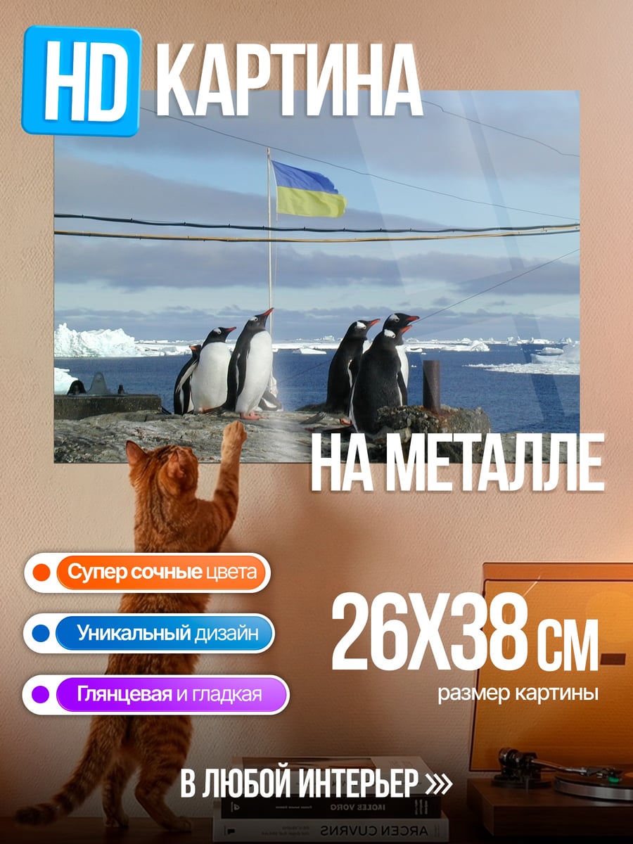Картина на металле Пингвины и флаг