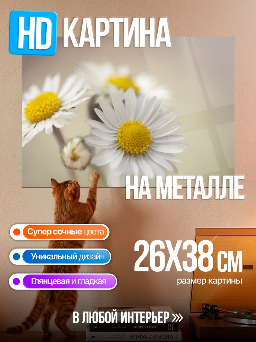 Картина на металле полевые цветы ромашки
