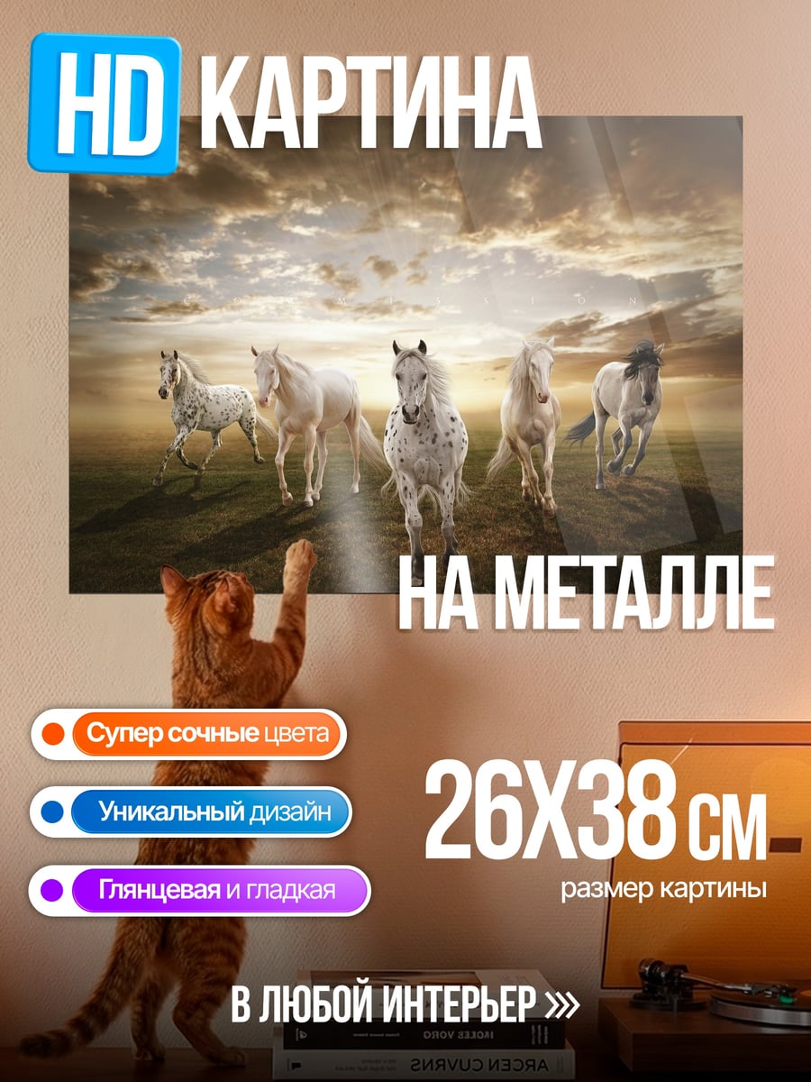 Картина на металле Стадо белых лошадей