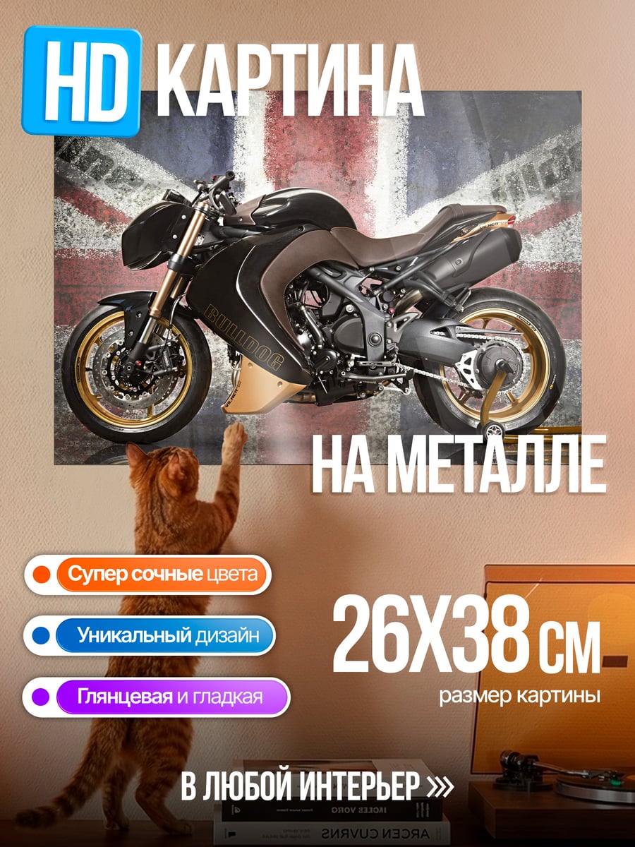 Картина на металле Мотоцикл на фоне флага