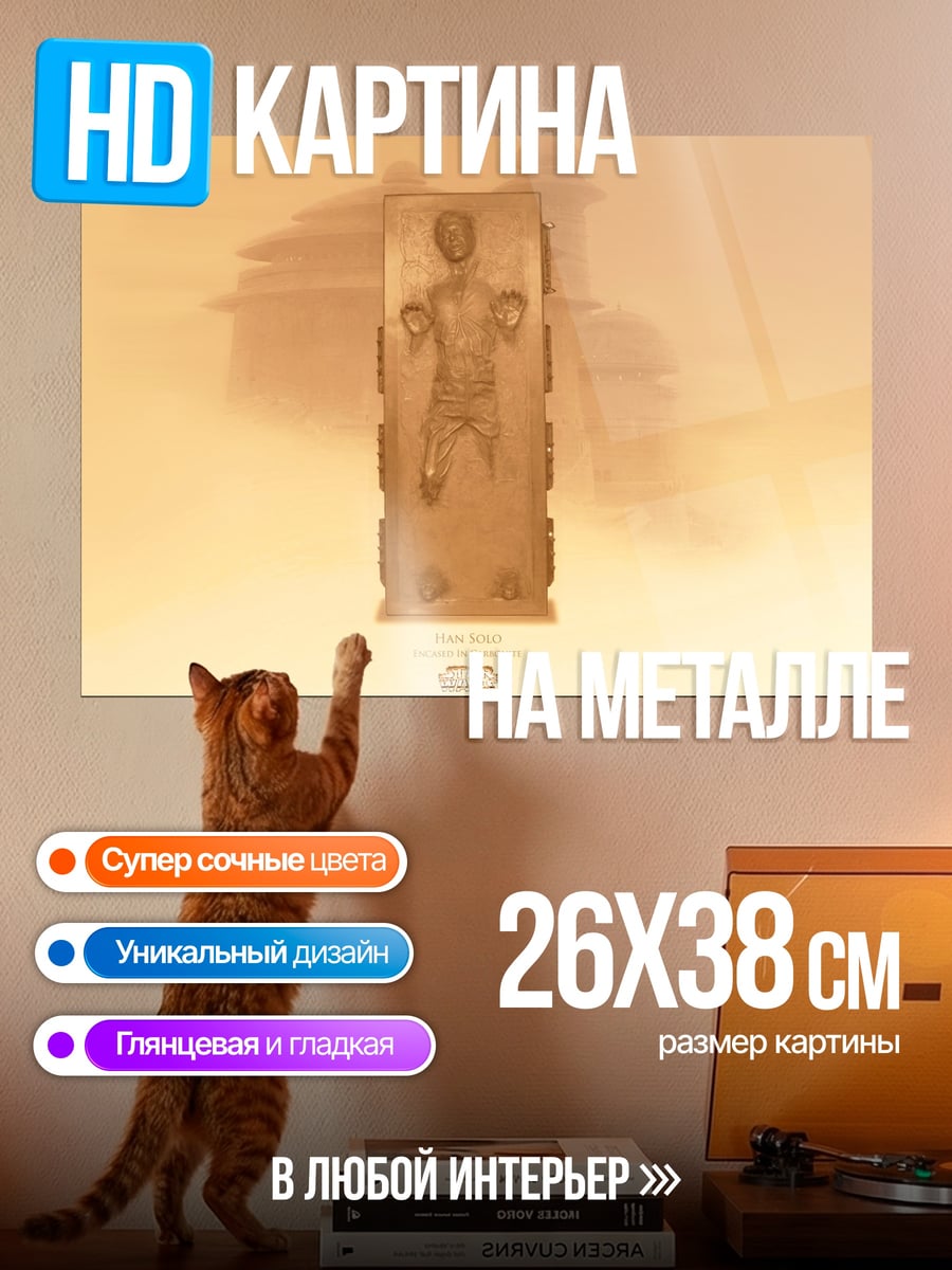 Картина на металле Хан Соло в карбоните