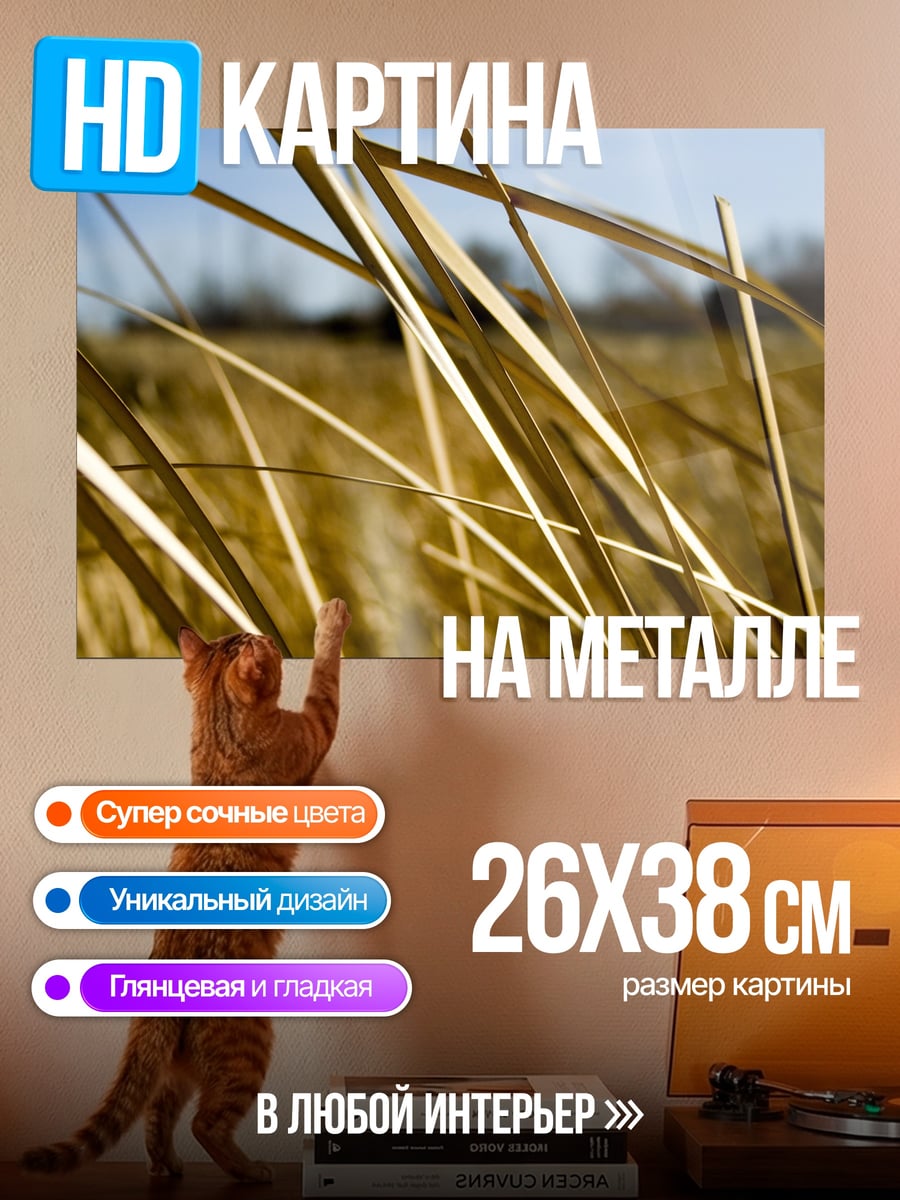 Картина на металле Сухие травы на ветру