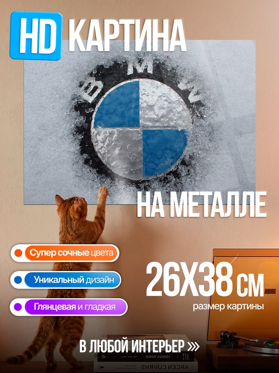 Картина на металле Логотип BMW в снегу