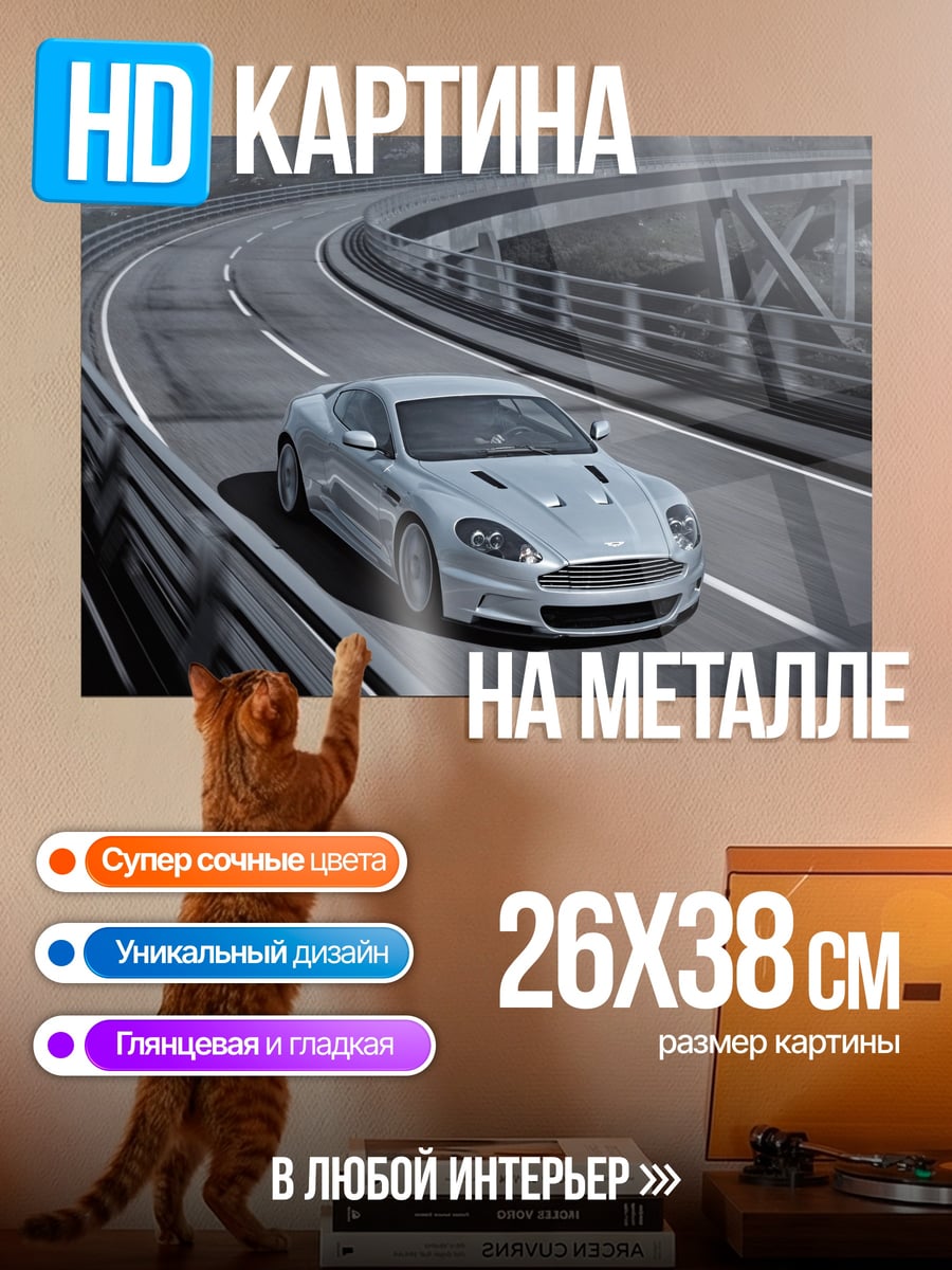 Картина на металле Серебристый спорткар на трассе