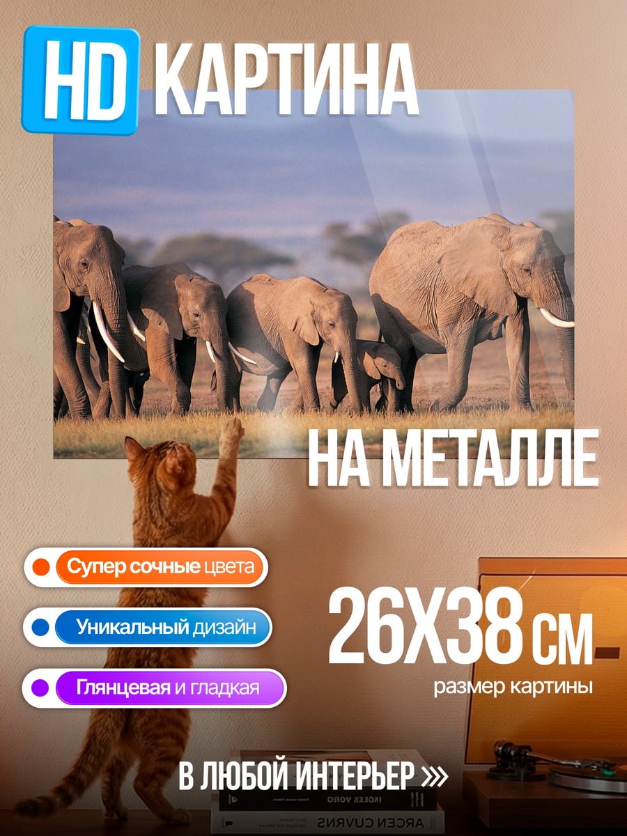 Картина на металле Стадо слонов в саванне