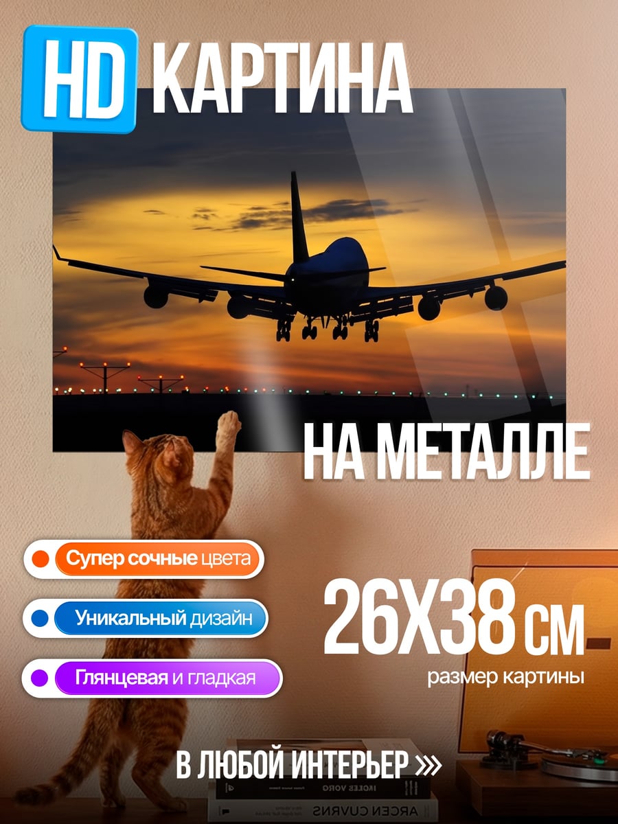 Картина на металле Самолет на закате