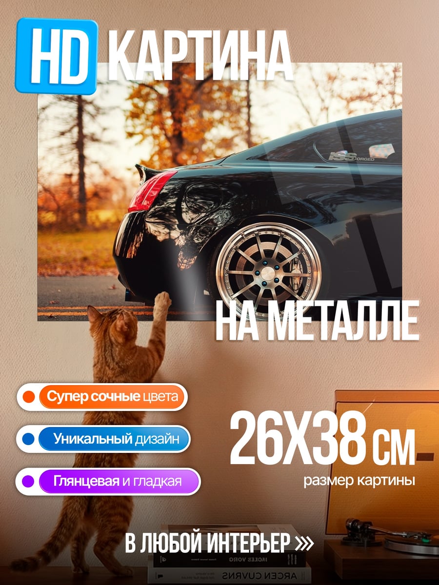 Картина на металле Черное спортивное авто