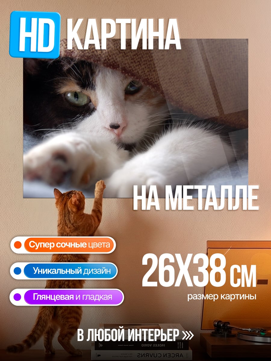 Картина на металле Кот прячется в пледе
