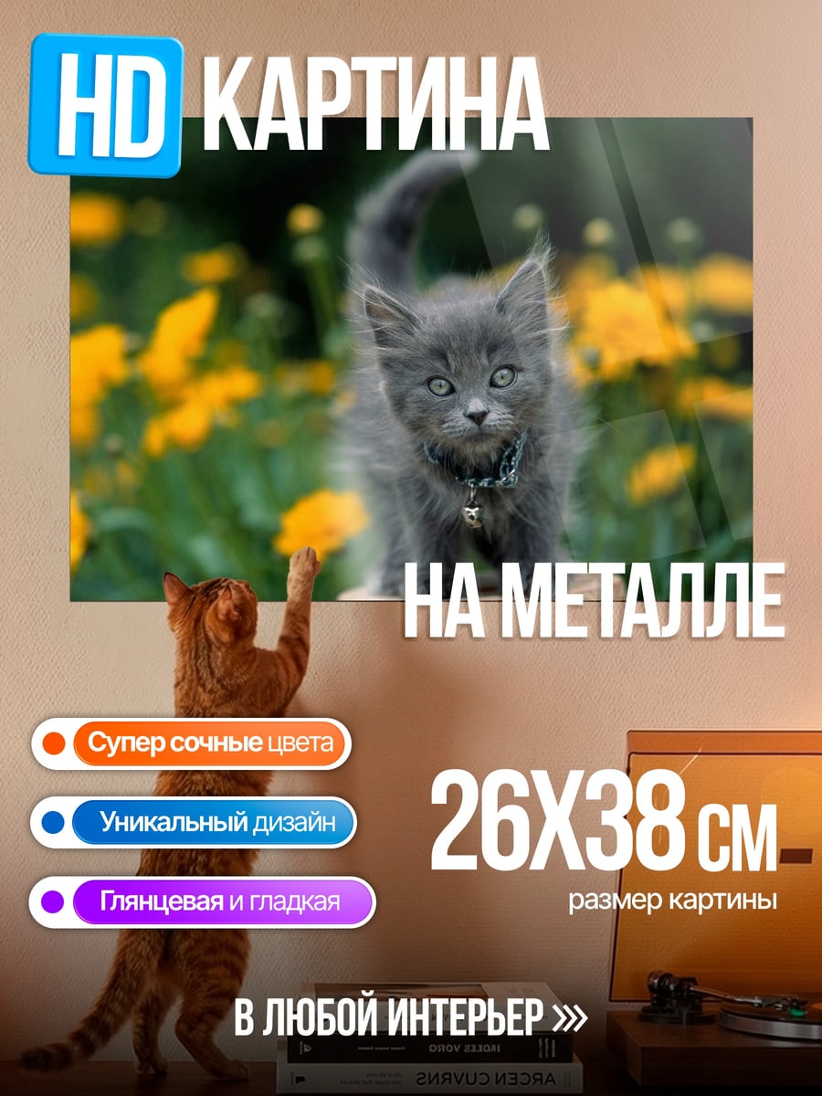 Картина на металле Серый котенок цветы