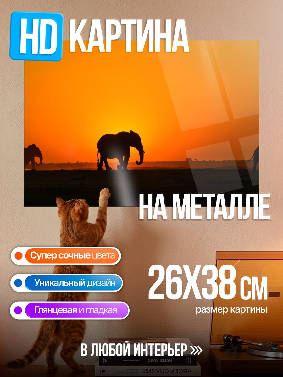 Картина на металле Слоны на закате
