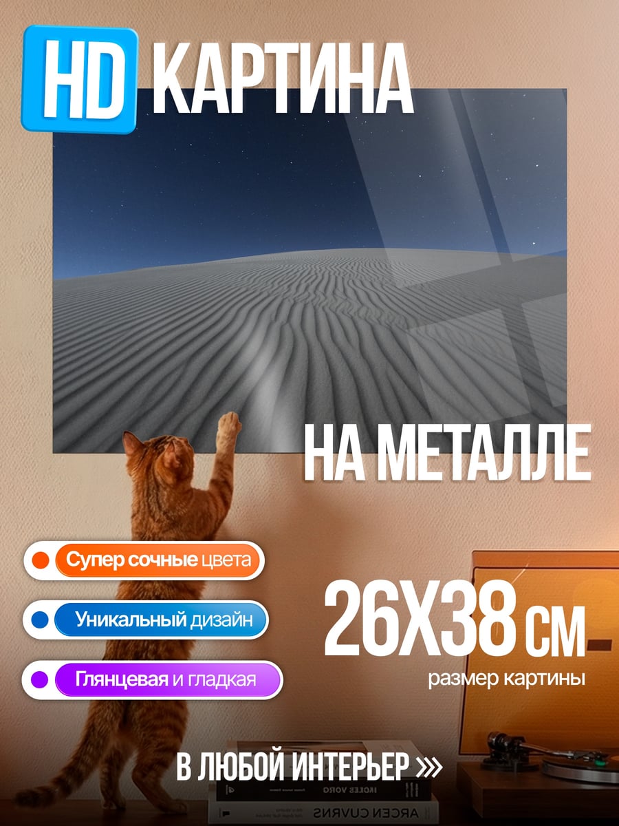 Картина на металле Песчаные дюны